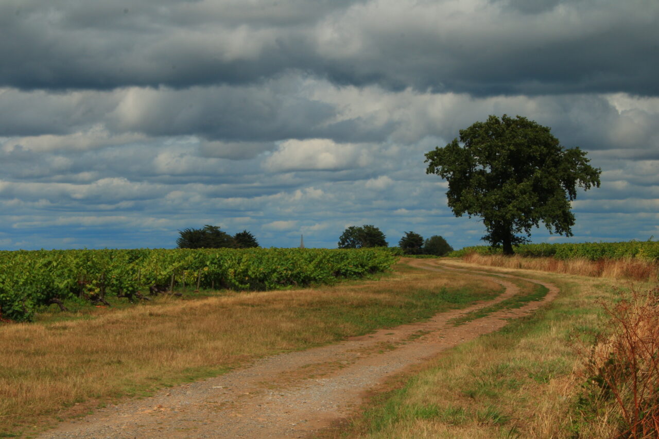 le chemin